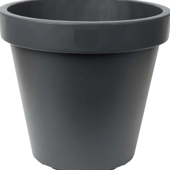 Bloempot