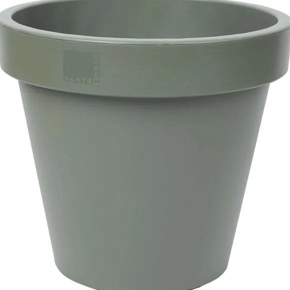 Bloempot