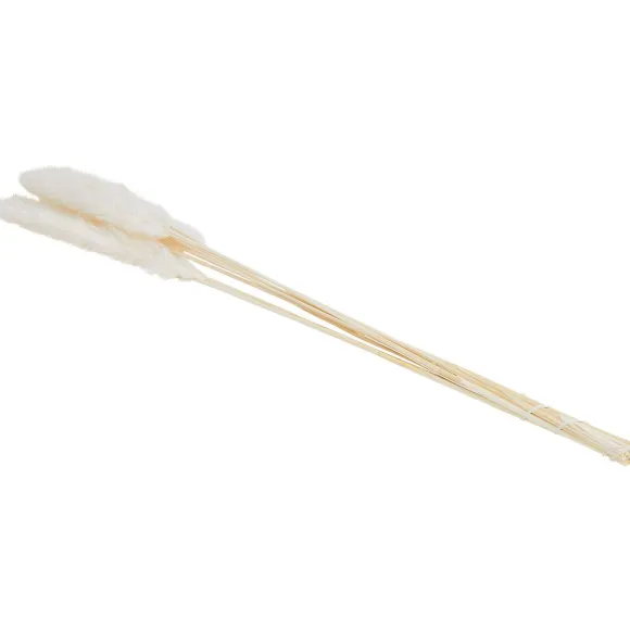 Droogboeket
