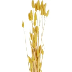 Droogboeket