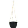 Hangbloempot Dijon