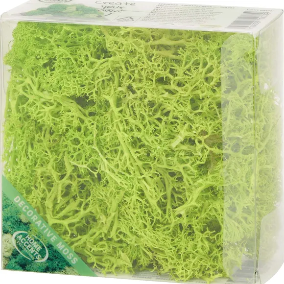 Home Accents Decoratief Mos
