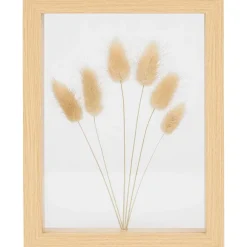 Home Accents Fotolijst Met Droogbloemen