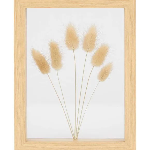Home Accents Fotolijst Met Droogbloemen
