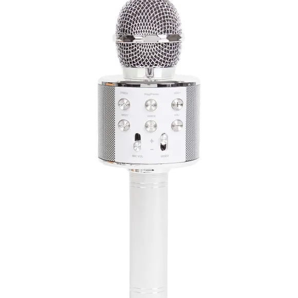 Karaoke-Microfoon