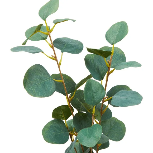 Kunst-Eucalyptus Op Steel