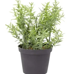 Kunstkruidenplant