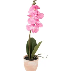 Kunstorchidee In Pot