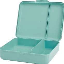 Lunchbox Met Vakken