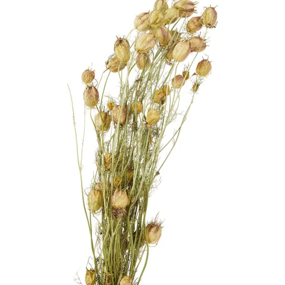 Nederlandse Droog Kunstbloemen