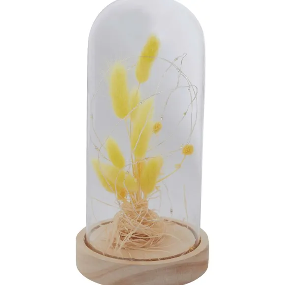 Stolp Met Droogbloemen En Licht