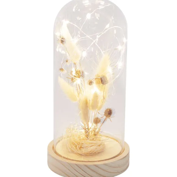 Stolp Met Droogbloemen En Licht